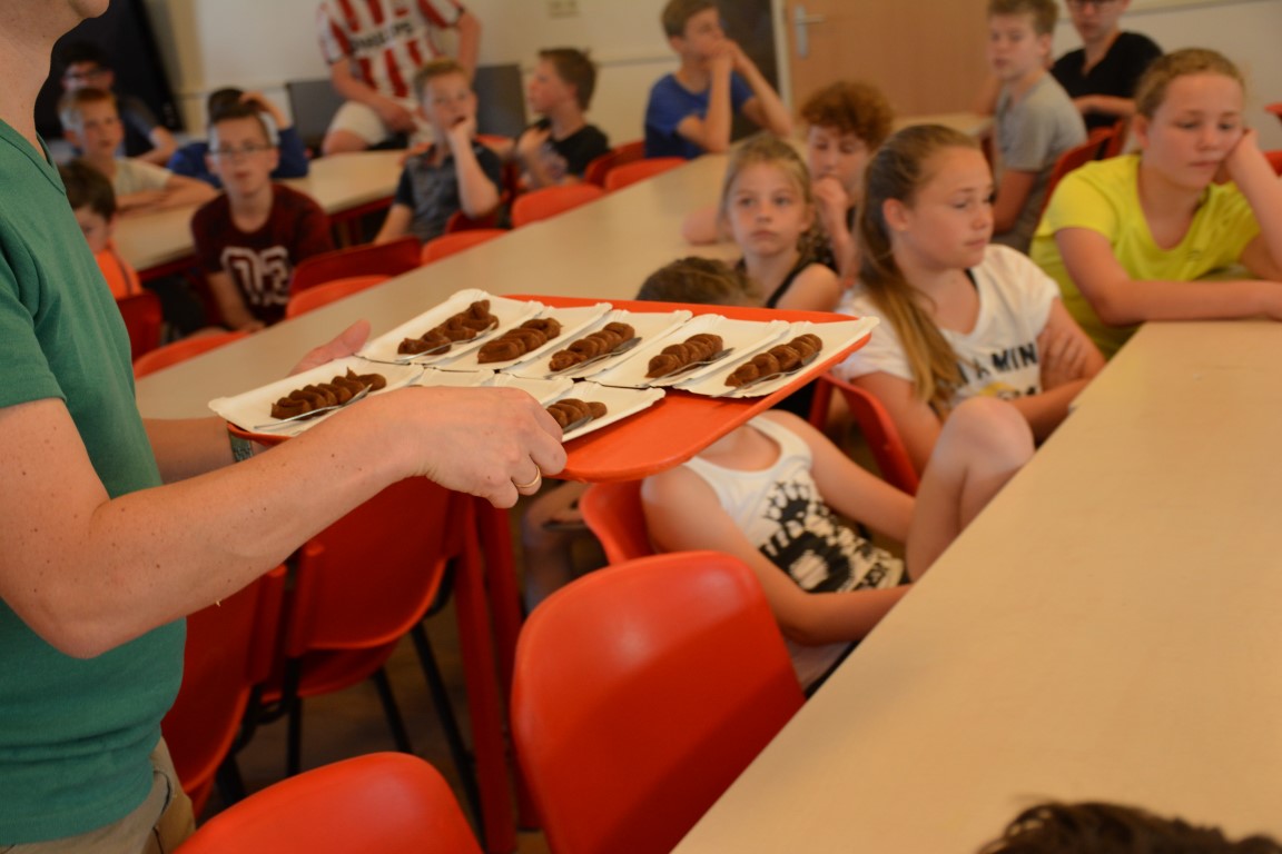 DSC_0912 (Medium).JPG